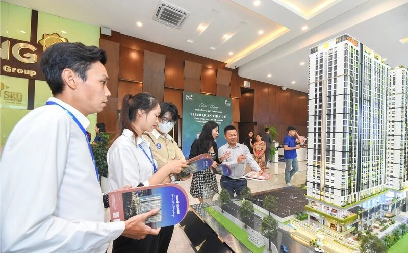 Đề xuất làm rõ yêu cầu 'thi tuyển kiến trúc chung cư' tại TP HCM