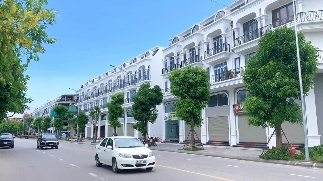 Dự Án 319 Đông Anh (Calyx Residence) 2026: Phân Tích Cơ Hội Đầu Tư Và Bảng Giá Mới Nhất
