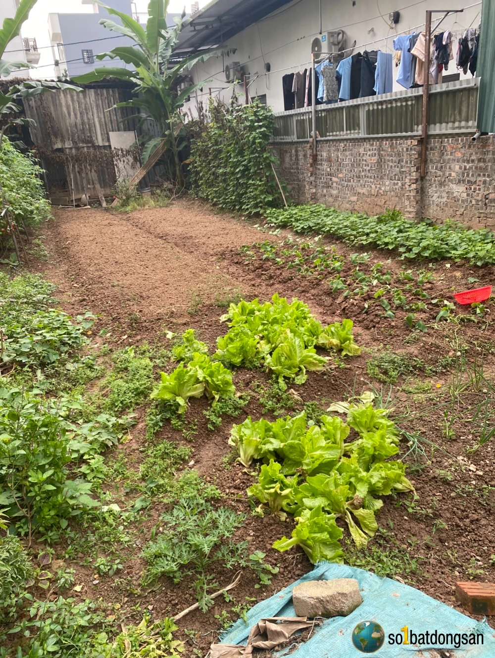 Bán đất CỔ DƯƠNG chính Chủ Hiếm Có – 1 Chủ Từ Đầu, Pháp lý rõ ràng