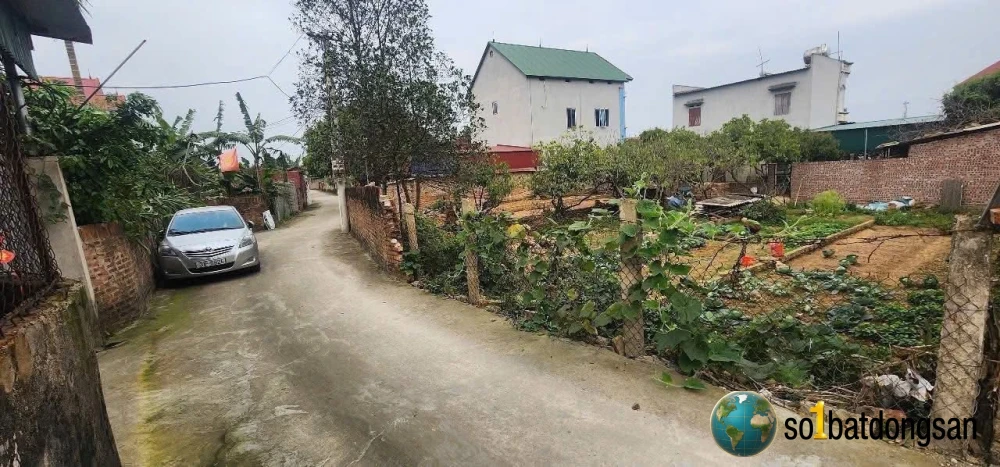 77m Xuân Đồng- Tân Minh  đường thông hè thoáng