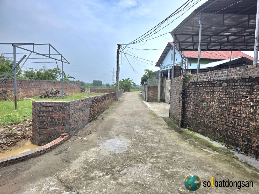 Bán 460m trục đường to thôn Thanh Sơn xã Kim Anh mới giá 12tr/m