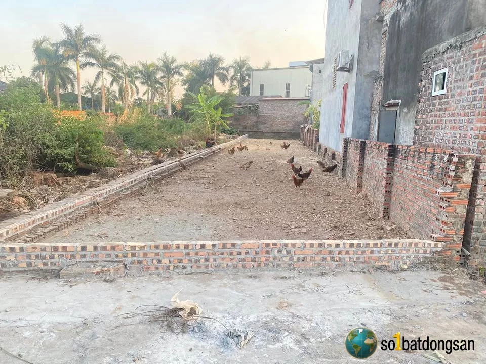 Siêu phẩm mặt đường nhựa Thái Lai, Minh Trí, Sóc Sơn, HN.- Diện tích: 187m², thổ cư 130m².