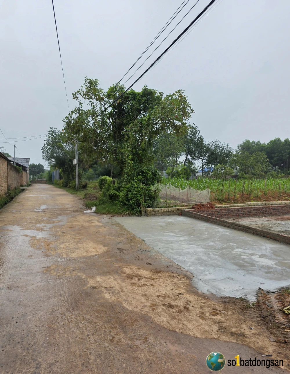 Trục chính tiên chu trung giã sóc sơn