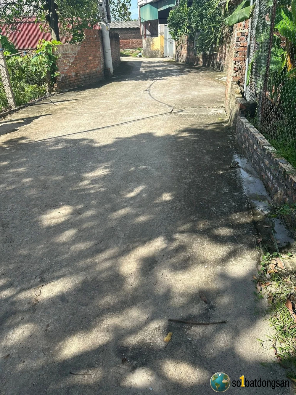 77m Xuân Đồng- Tân Minh  đường thông hè thoáng