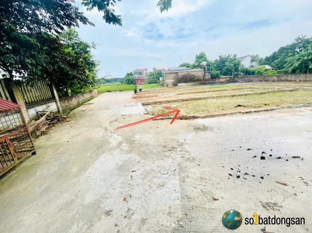 ♦️Chính Chủ gửi bán 79,6m Xuân Đồng Tân Minh.Giá đầu tư nhỉnh 1 tỷ