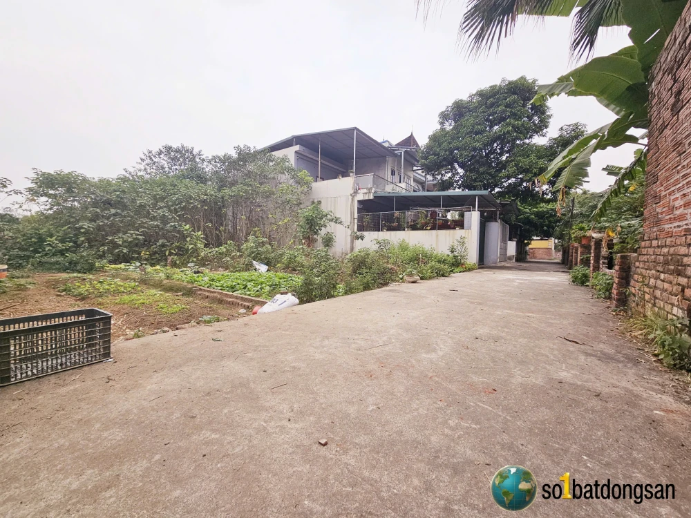 Bán 2 lô đất Phú Cường TÂN TRẠI xã Nội bài, sát sân bay giá tốt