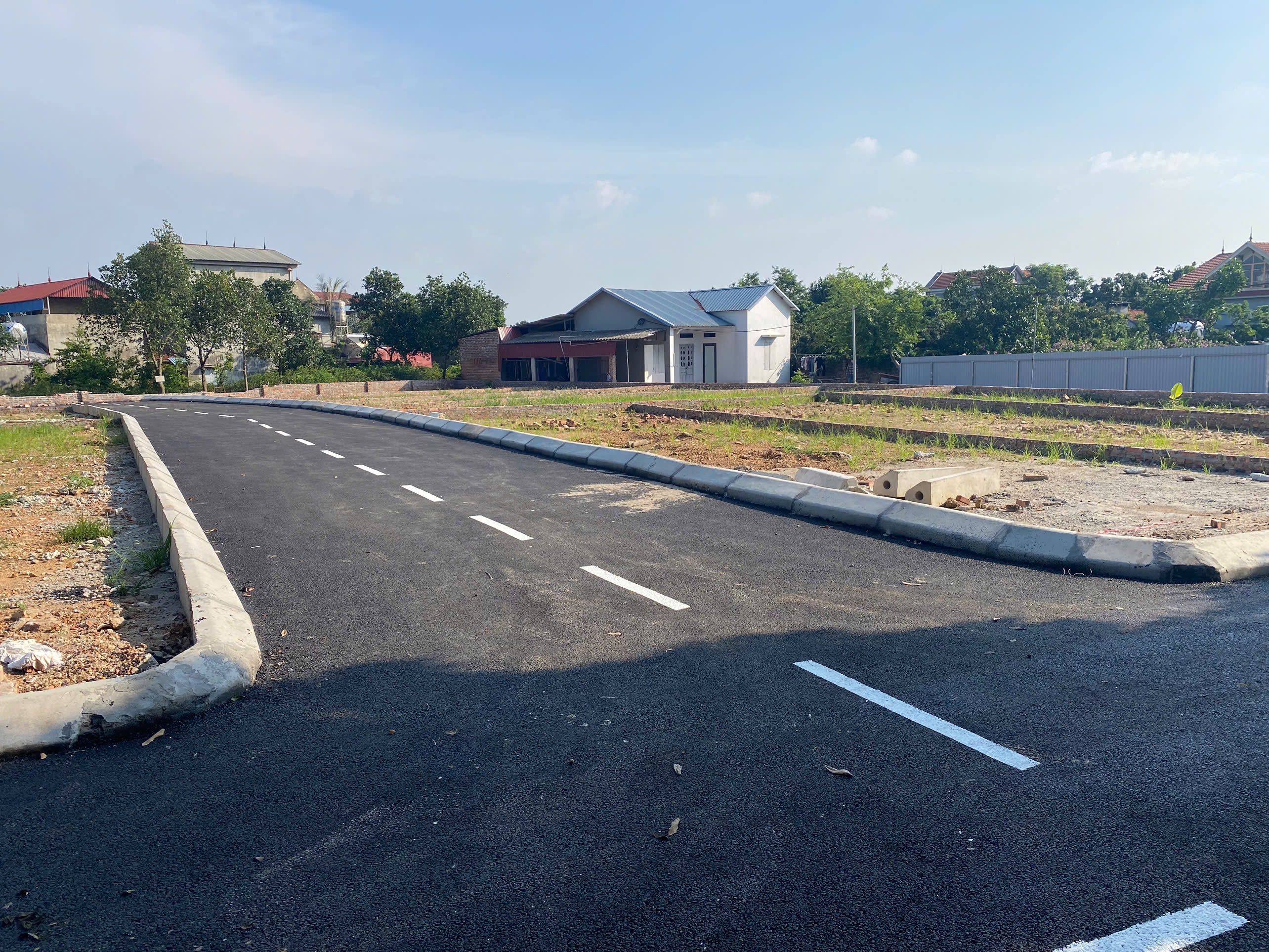 11 lô fo thái lai kim anh, giá chỉ từ 17tr/1m