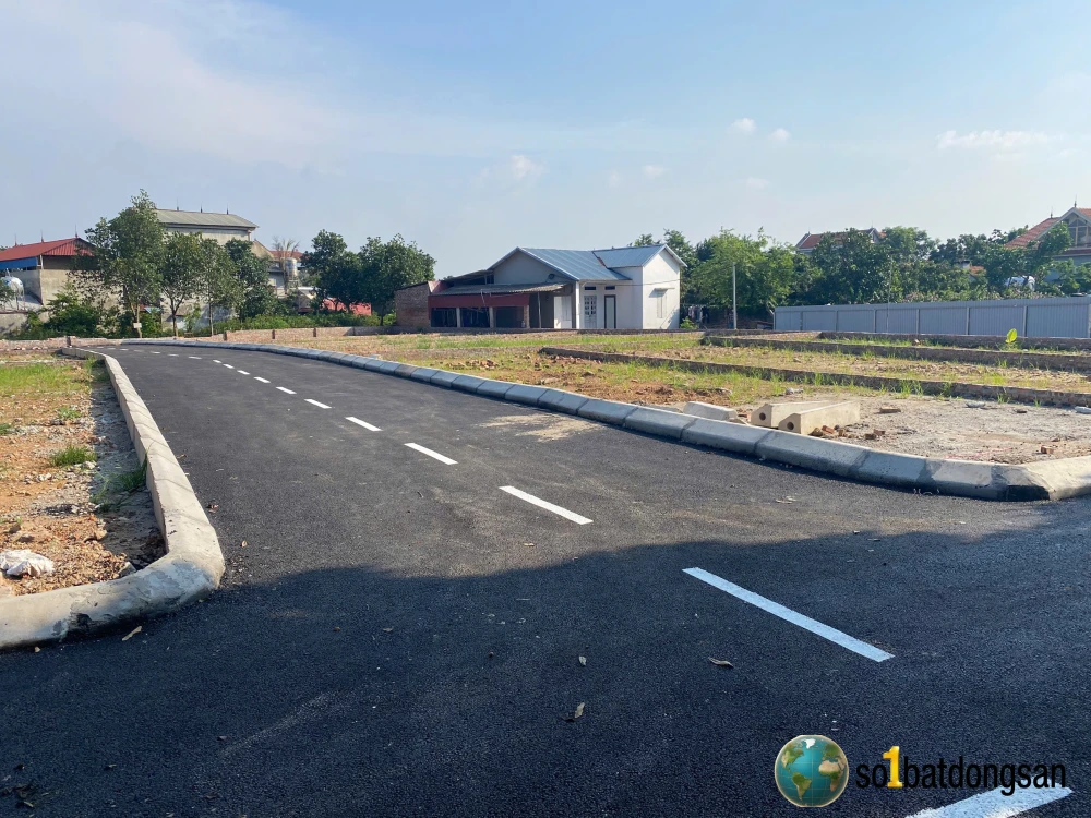 11 lô fo thái lai kim anh, giá chỉ từ 17tr/1m