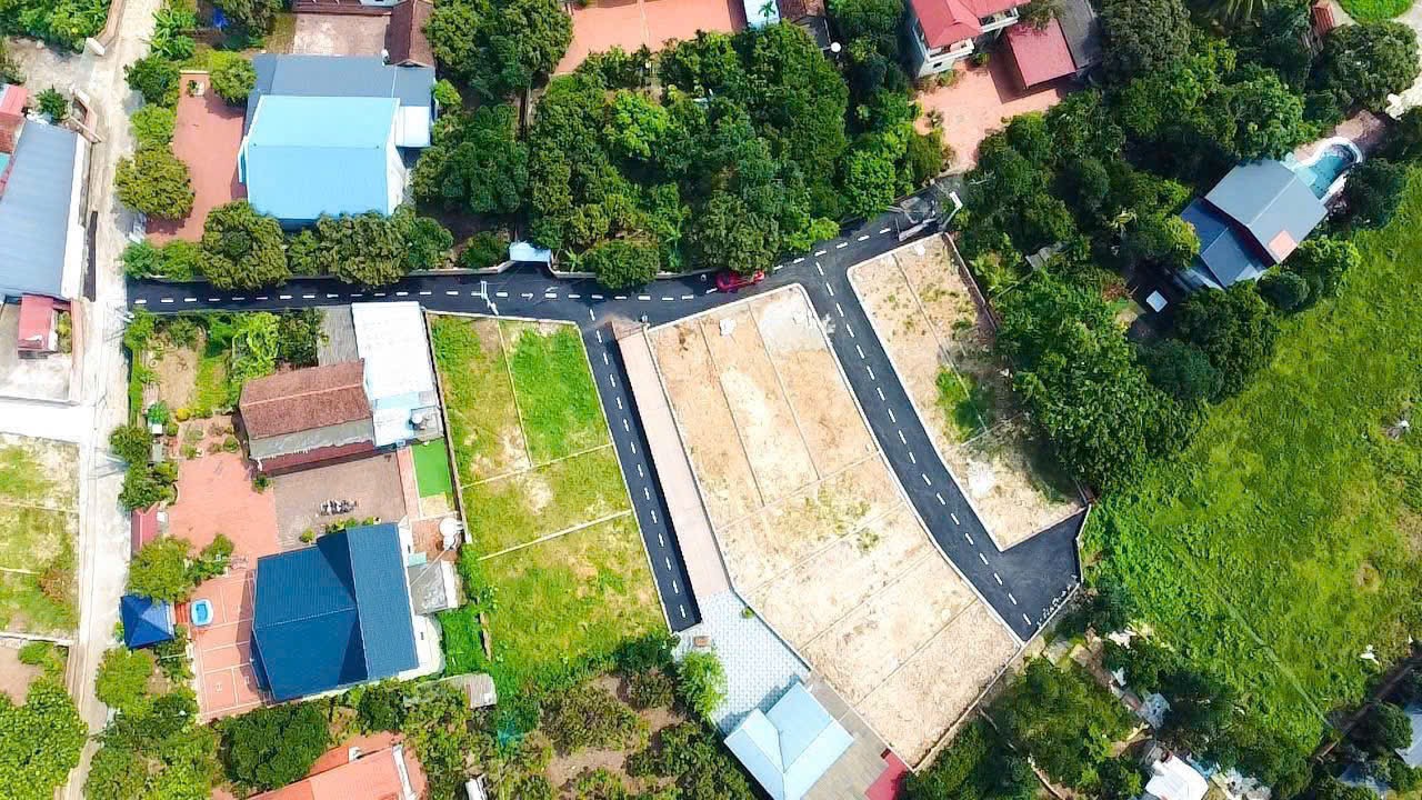 11 lô fo thái lai kim anh, giá chỉ từ 17tr/1m