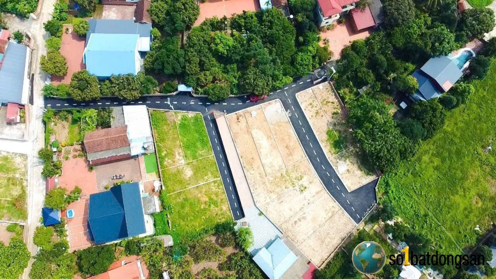 11 lô fo thái lai kim anh, giá chỉ từ 17tr/1m