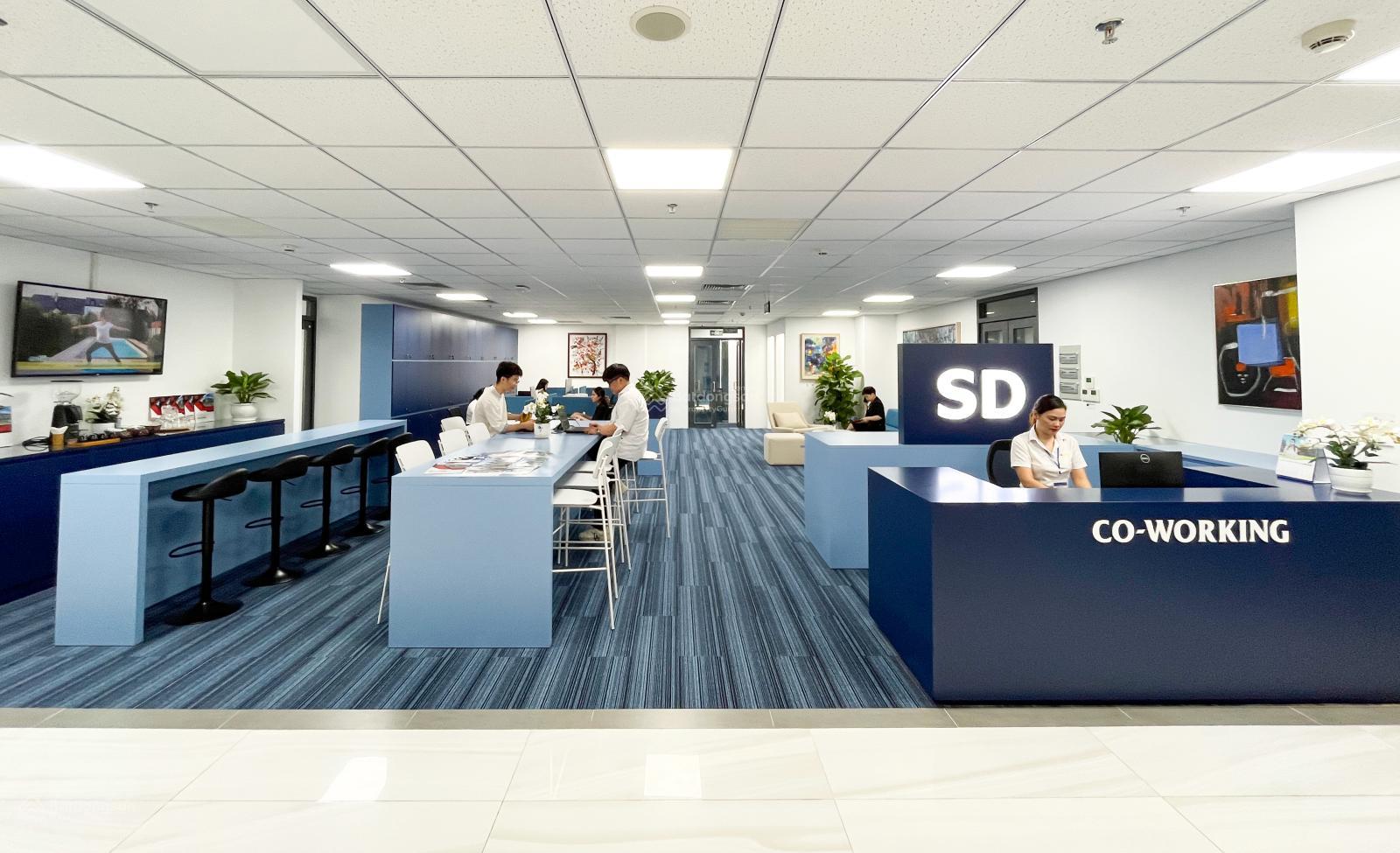 “Cho thuê văn phòng SD Building – Trang bị hoàn chỉnh, diện tích đa dạng 10–930m²”