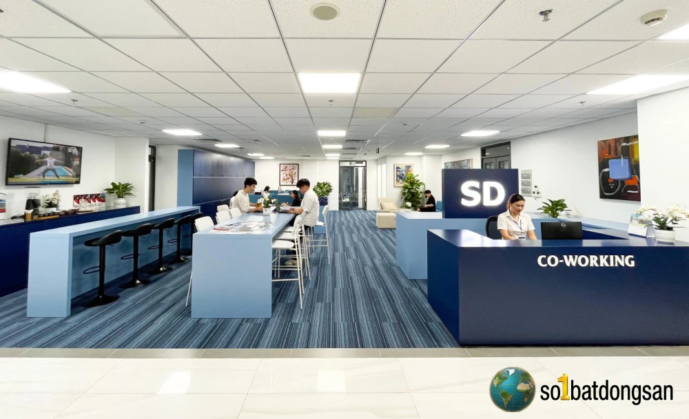 “Cho thuê văn phòng SD Building – Trang bị hoàn chỉnh, diện tích đa dạng 10–930m²”