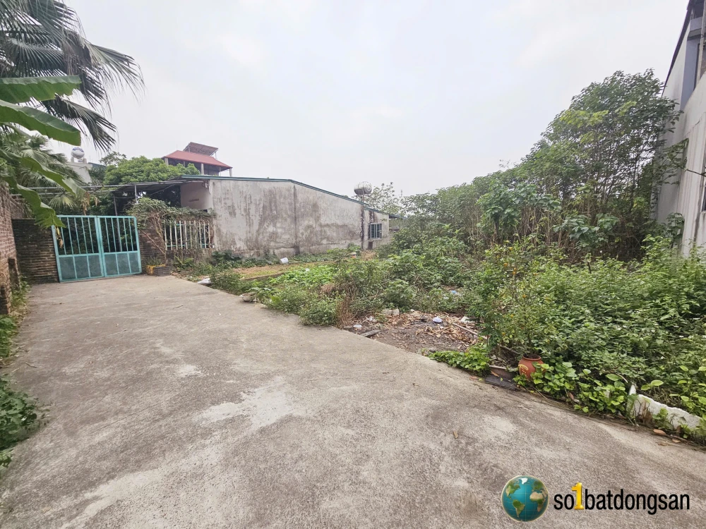 Bán 2 lô đất Phú Cường TÂN TRẠI xã Nội bài, sát sân bay giá tốt