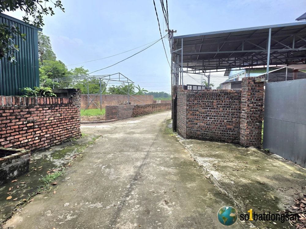 Bán 460m trục đường to thôn Thanh Sơn xã Kim Anh mới giá 12tr/m