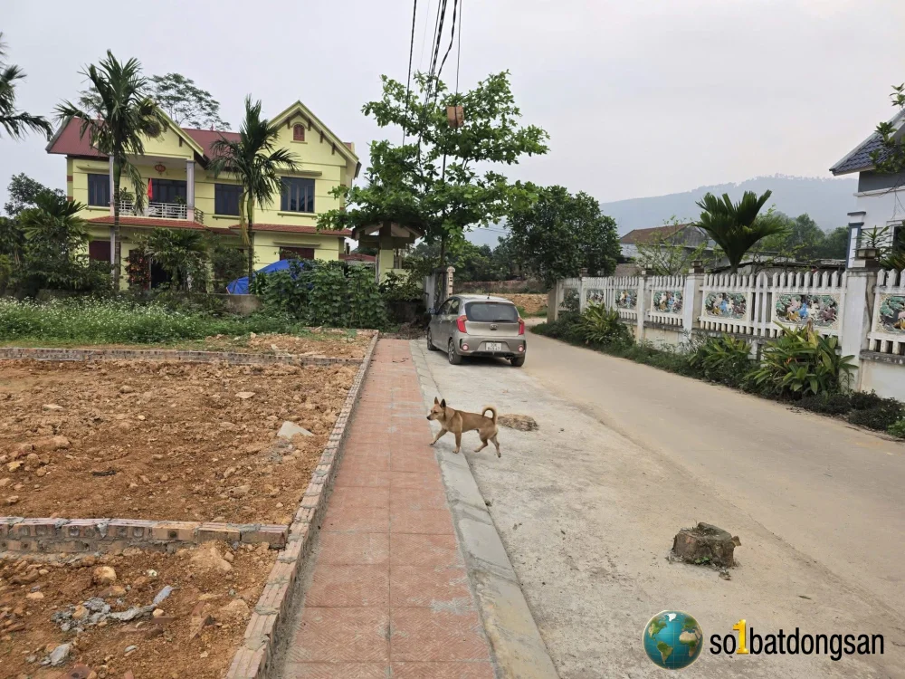💥💥Trục Chính Diều Sóc Sơn. Cách Diều 200m. 3 lô HÀNG HIẾM 👉diện tích: 210m2/lô