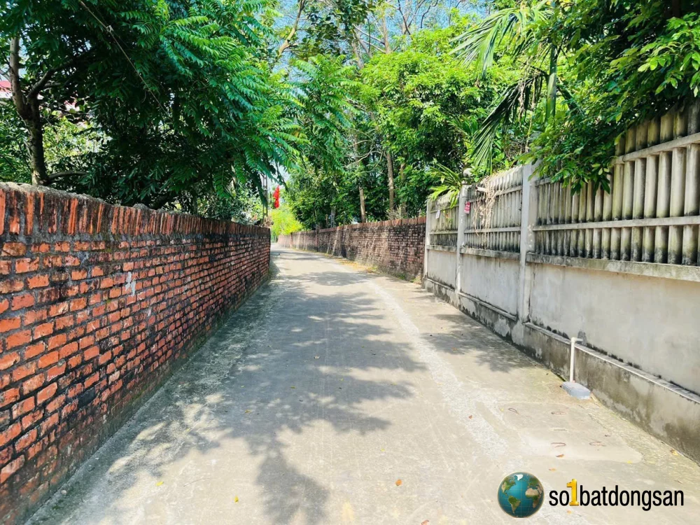 1.7x tỷ 88m Full thổ cư Ngay cạnh trường Đua Ngựa, Sóc Sơn HN giá cắt Lỗ
