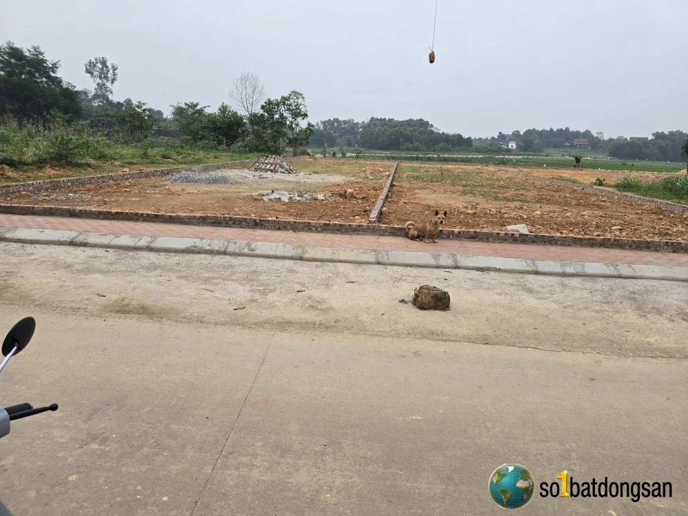💥💥Trục Chính Diều Sóc Sơn. Cách Diều 200m. 3 lô HÀNG HIẾM 👉diện tích: 210m2/lô