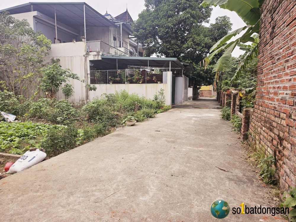 Bán 2 lô đất Phú Cường TÂN TRẠI xã Nội bài, sát sân bay giá tốt