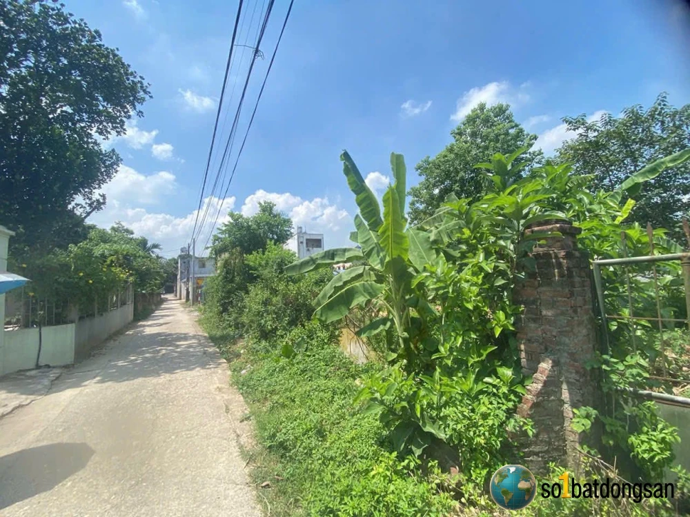 Chủ gửi 1232m2 có 300m2 thổ cư Tân Phúc-Hồng kỳ cũ-sóc sơn-hà nội