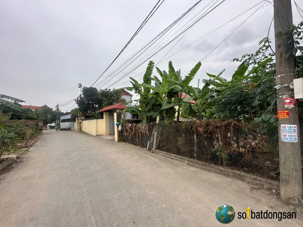 118m Lập Trí - Xã Kim Anh