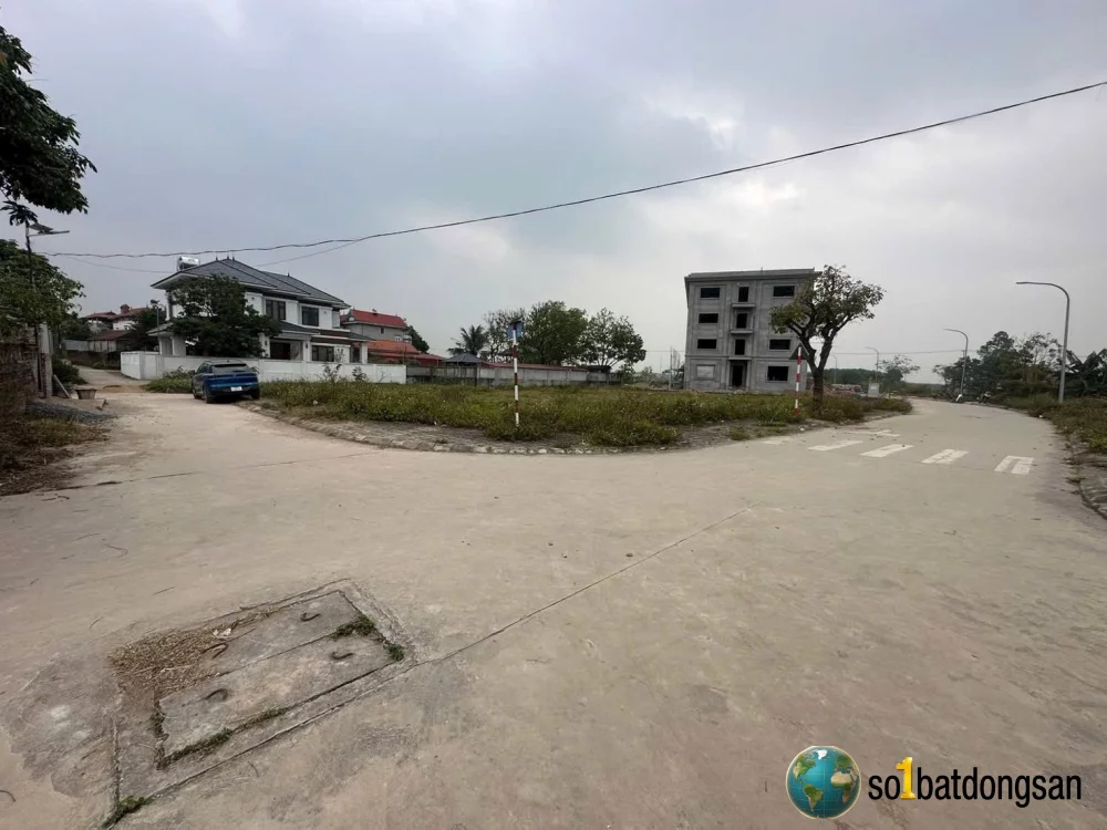 Đấu giá Lan chùa-Hiền Ninh cũ
