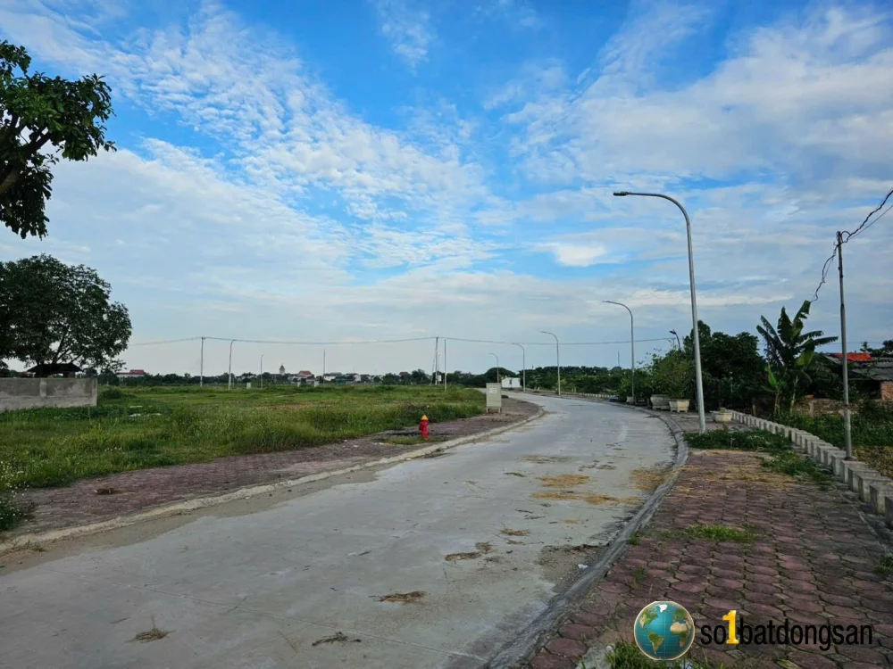Đấu giá Lan chùa-Hiền Ninh cũ