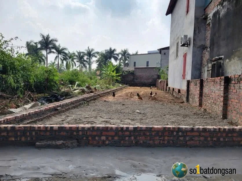 Trục chính kinh doanh đường nhựa liên xã thái lai