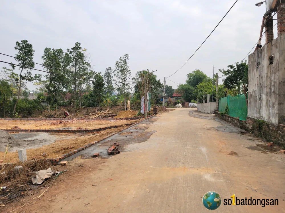 Trục chính đường thông ô tô tránh thôn lương đình trung giã sóc sơn