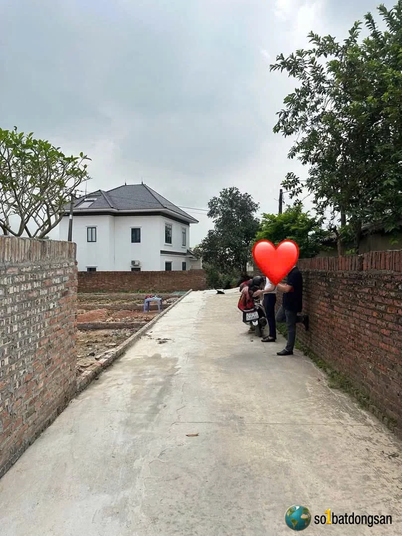 100m full thổ cư đình thông hồng kỳ giá chỉ hơn 10tr