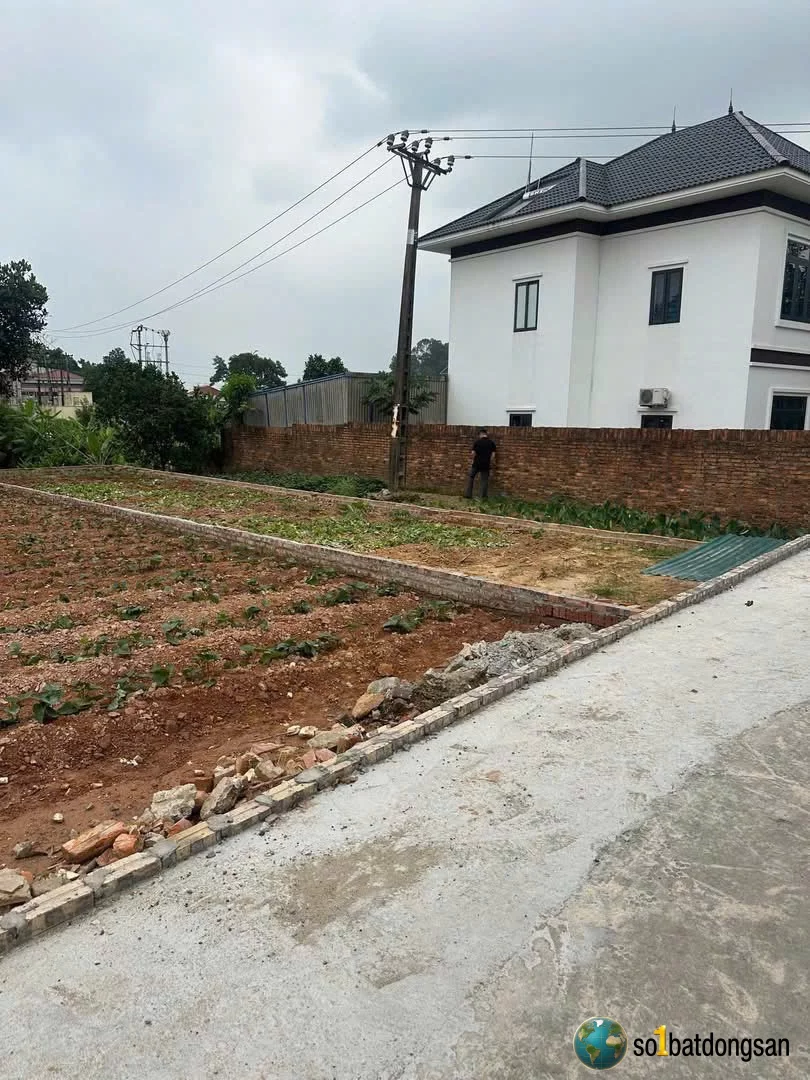 100m full thổ cư đình thông hồng kỳ giá chỉ hơn 10tr