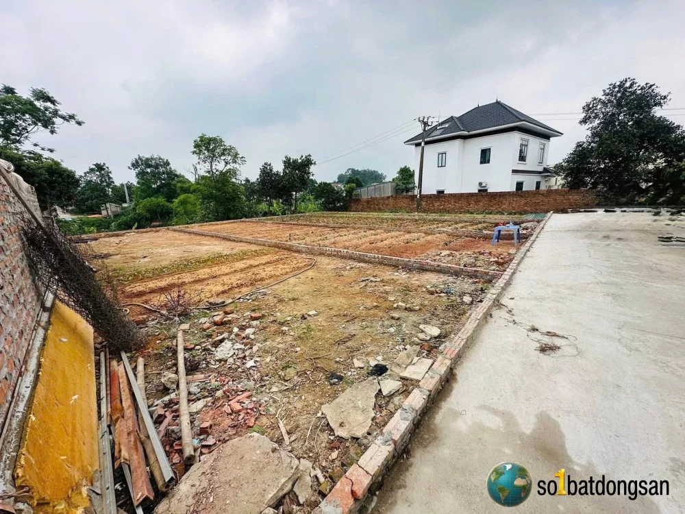 100m full thổ cư đình thông hồng kỳ giá chỉ hơn 10tr
