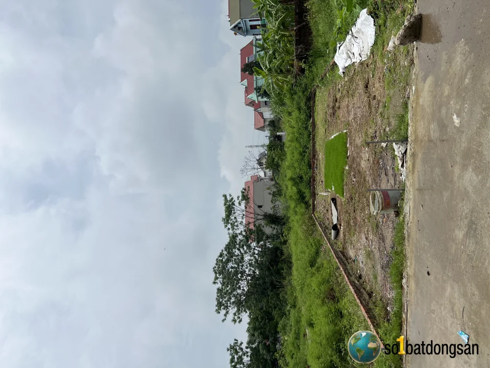 PHƯƠNG ÁN AN CƯ LẠC NGHIỆP