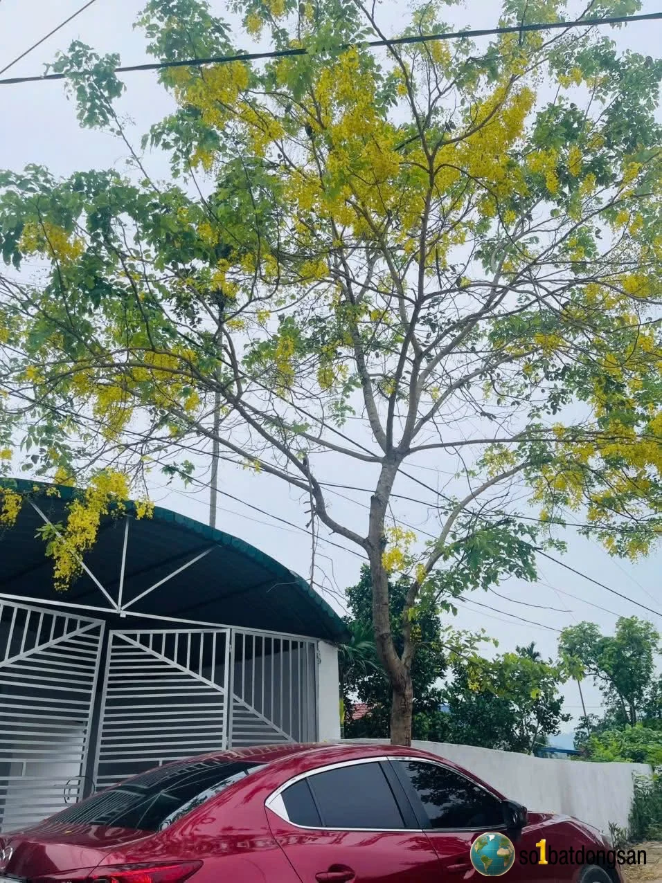 Bán 403m2 giá 3,2tỉ tại Trung Giã-Hà Nội