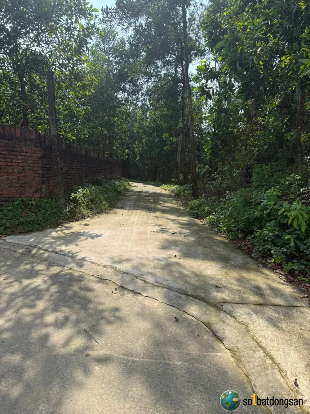 200m2 giá 1,5tỉ