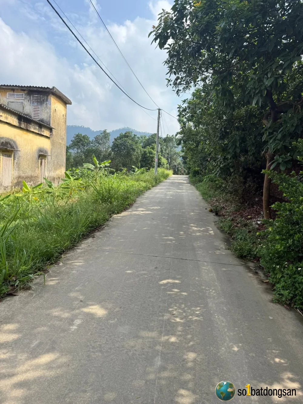 200m2 giá 1,5tỉ