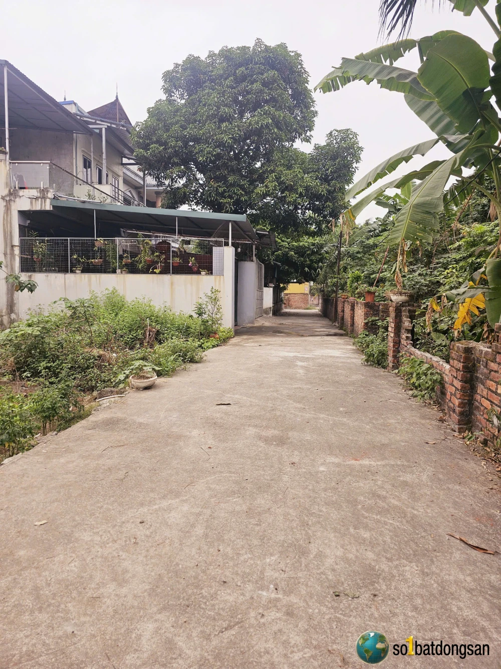 Bán 2 lô đất Phú Cường TÂN TRẠI xã Nội bài, sát sân bay giá tốt