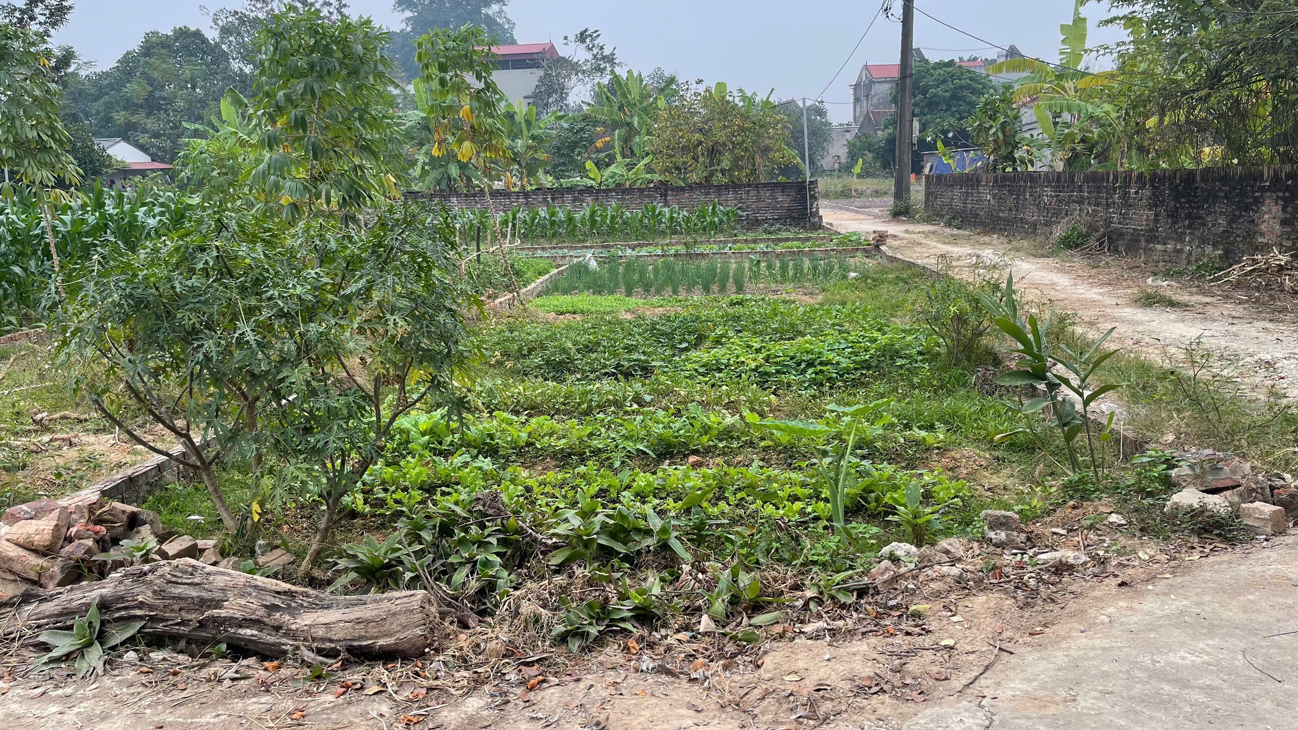 Lô góc 2 mặt tiền, đường thông ô tô