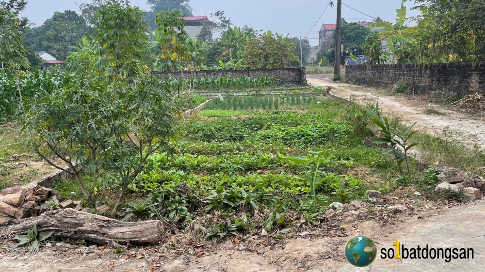 Lô góc 2 mặt tiền, đường thông ô tô