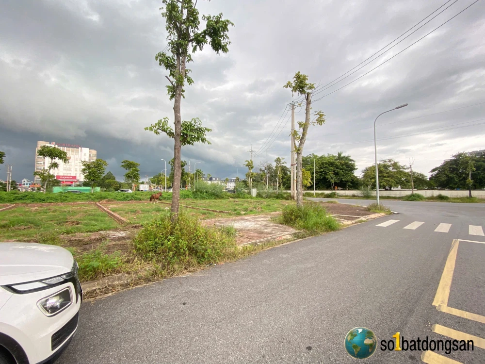 Giảm 200triệu lô đấu giá thị trấn sóc sơn