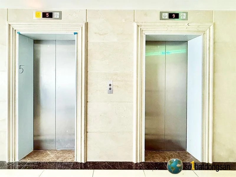 Văn phòng Trường Sơn, Tân Bình – TLE Building, diện tích 200m²