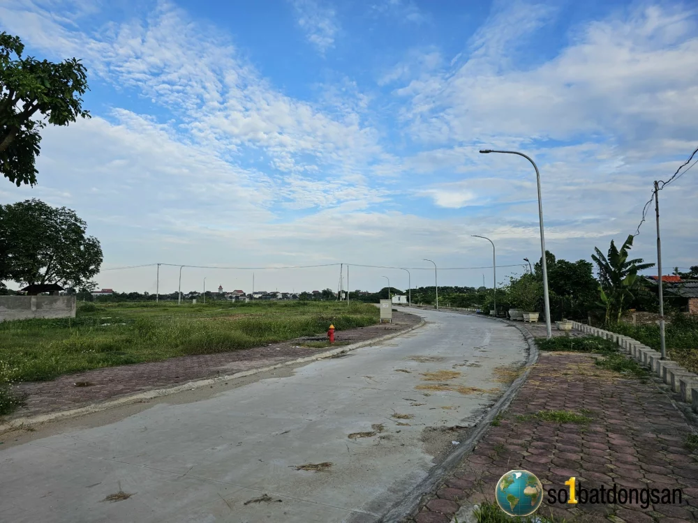 Bán lô góc biệt thự 243m đấu giá thôn TÂN TRUNG CHÙA XÃ HIỀN NINH CŨ