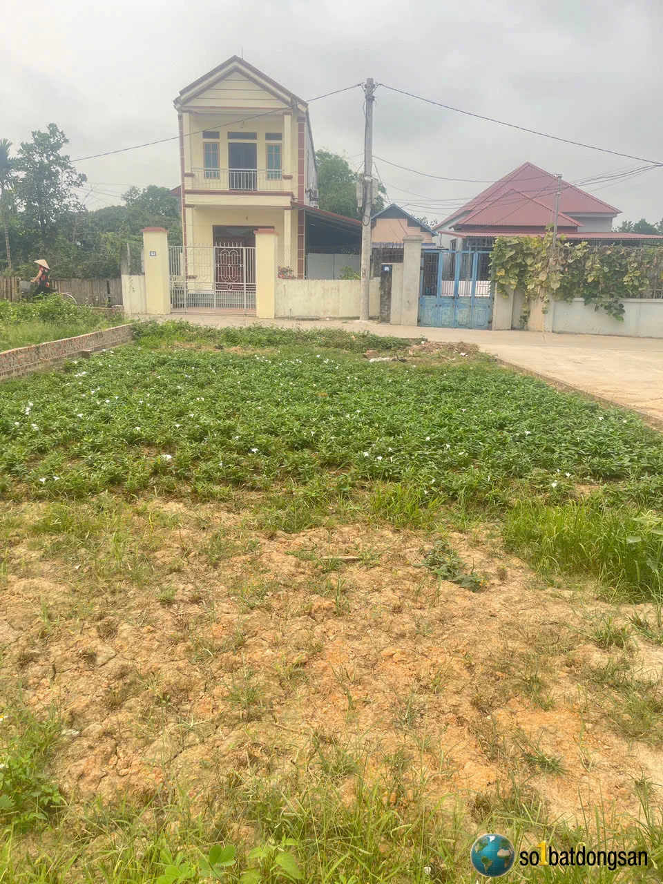 110m Đình Buộm, Hồng Kỳ