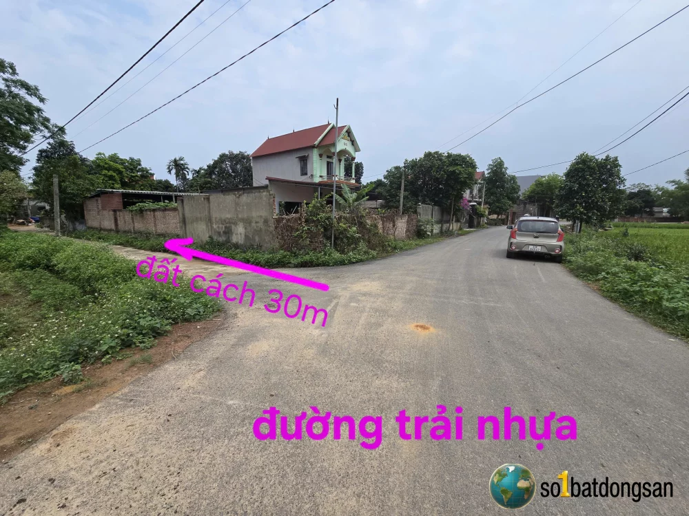 100m Đô Tân