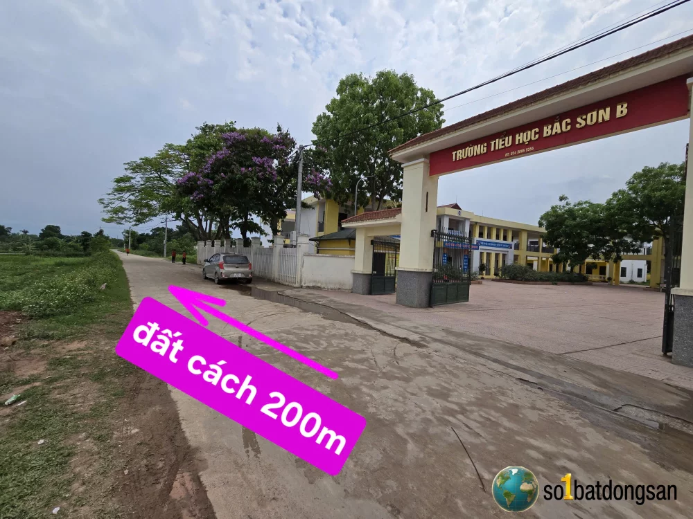 100m Đô Tân