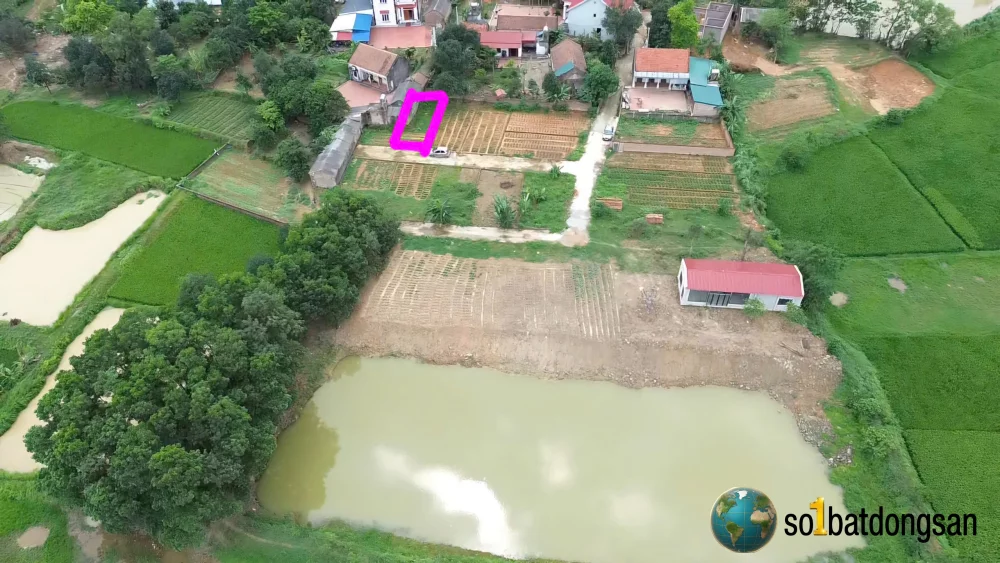 100m Đô Tân