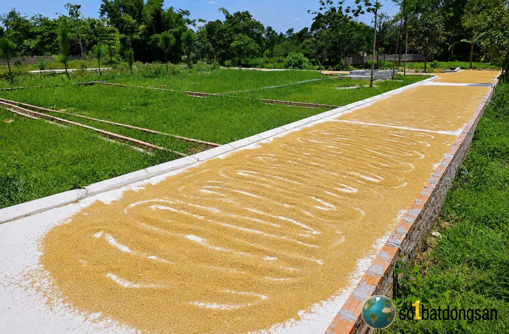 1.6 tỷ lô đất 100m full thổ cư mặt tiền 6.3m vuông đẹp Vụ Bản , Kim Anh gần đường 1.500 tỷ và KCN , chợ
