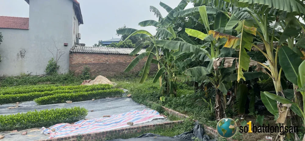 100m Yên Lương, Hồng Kỳ