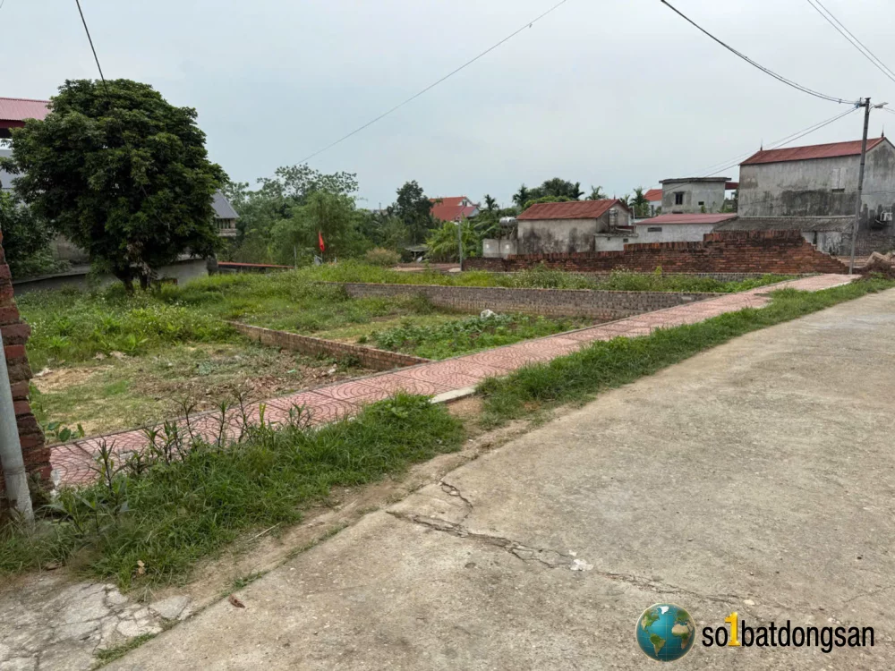 Nam Cương, Hiền Ninh, Nội Bài